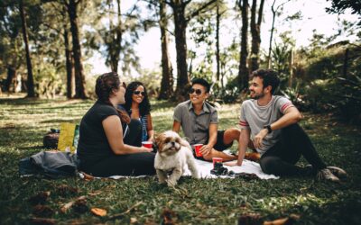 Best Parks in the Area for Picnics and Play