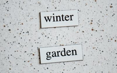 Winter Gardening Tips